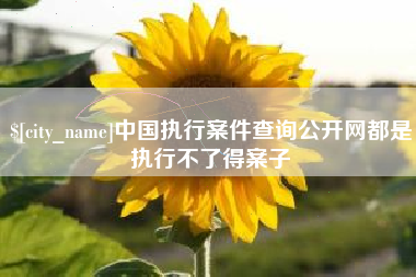 天水中国执行案件查询公开网都是执行不了得案子