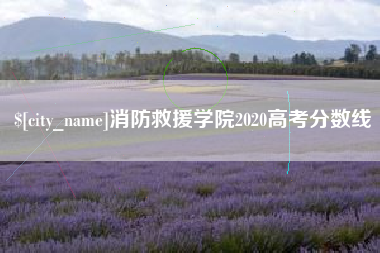 天水消防救援学院2020高考分数线
