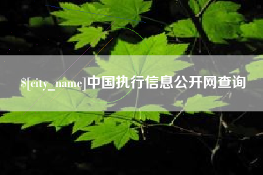 天水中国执行信息公开网查询