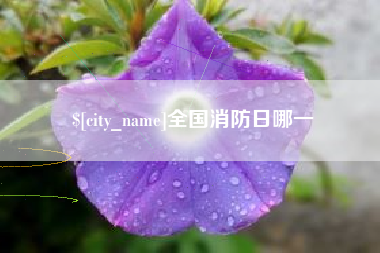天水全国消防日哪一