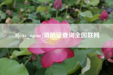 天水消防证查询全国联网