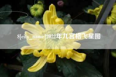 天水2022年九宫格飞星图
