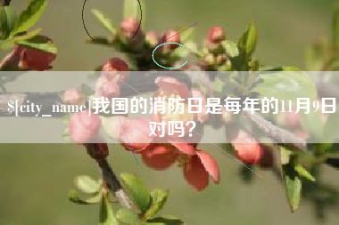 天水我国的消防日是每年的11月9日对吗？