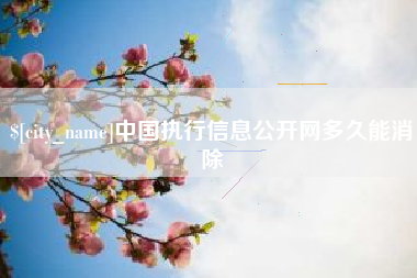 天水中国执行信息公开网多久能消除