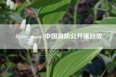 天水中国消防公开课回放