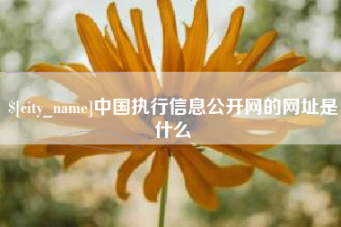 天水中国执行信息公开网的网址是什么