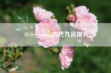 天水古代九宫图片