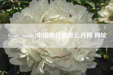 天水中国执行信息公开网 网址