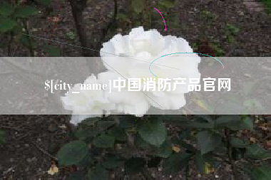 天水中国消防产品官网