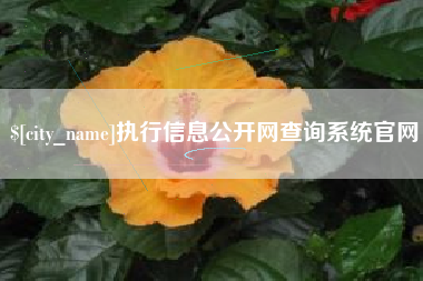 天水执行信息公开网查询系统官网