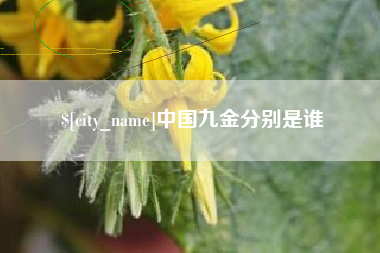 天水中国九金分别是谁