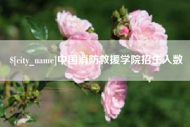 天水中国消防救援学院招生人数