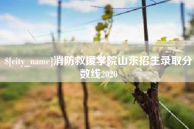 天水消防救援学院山东招生录取分数线2020