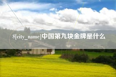 天水中国第九块金牌是什么