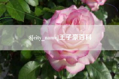 天水王子豪百科