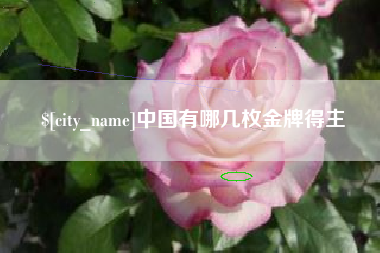天水中国有哪几枚金牌得主
