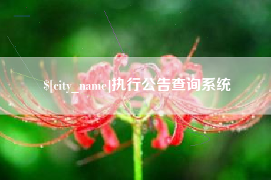 天水执行公告查询系统