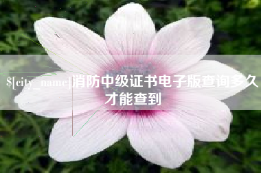 天水消防中级证书电子版查询多久才能查到