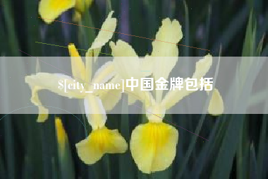 天水中国金牌包括