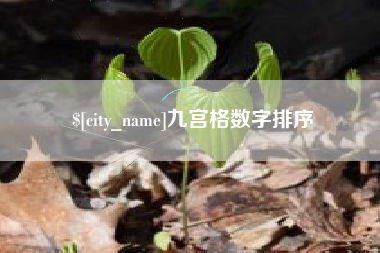 天水九宫格数字排序