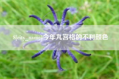 天水今年九宫格的不利颜色