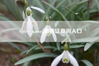 天水消防证查询入口