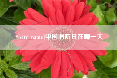 天水中国消防日在哪一天