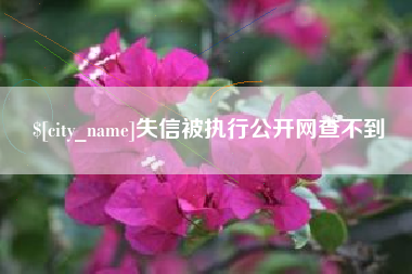 天水失信被执行公开网查不到