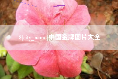 天水中国金牌图片大全