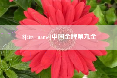 天水中国金牌第九金