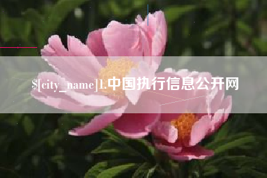天水1.中国执行信息公开网