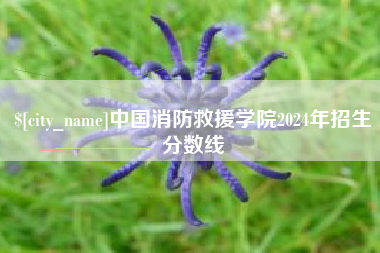 天水中国消防救援学院2024年招生分数线