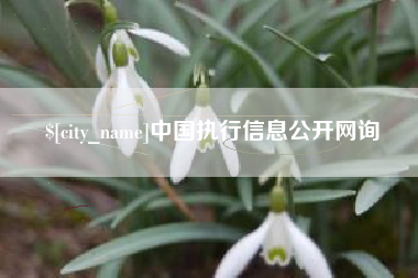 天水中国执行信息公开网询
