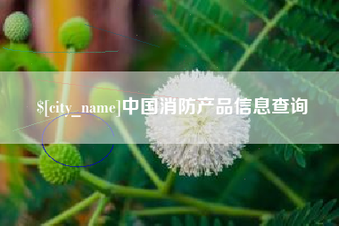 天水中国消防产品信息查询