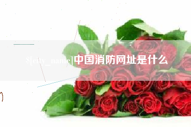 天水中国消防网址是什么