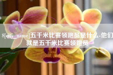 天水五千米比赛领跑员是什么-他们就是五千米比赛领跑员