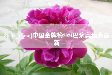 天水中国金牌榜2024巴黎奥运会最新