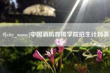 天水中国消防救援学院招生计划表