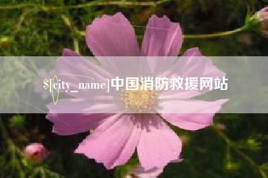天水中国消防救援网站