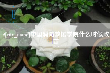 天水中国消防救援学院什么时候政审
