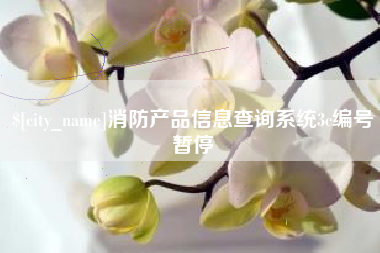 天水消防产品信息查询系统3c编号暂停