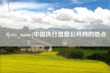 天水中国执行信息公开网的地点