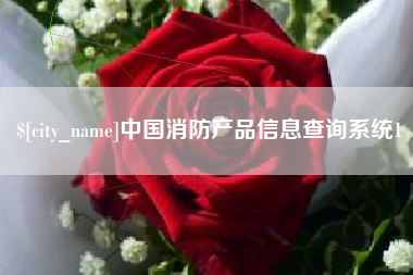 天水中国消防产品信息查询系统1