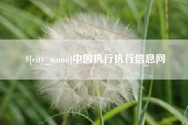 天水中国执行执行信息网