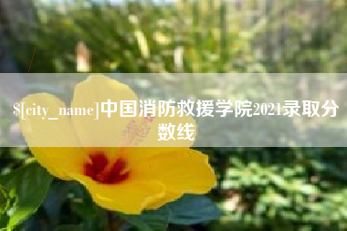 天水中国消防救援学院2021录取分数线