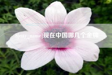 天水现在中国哪几个金牌