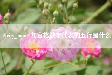 天水九宫格数字代表的五行是什么