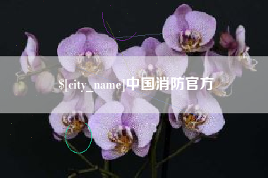 天水中国消防官方
