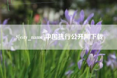 天水中国执行公开网下载