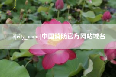 天水中国消防官方网站域名